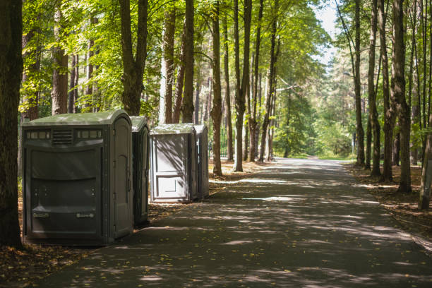 Best Luxury portable toilet rental  in Bayport, MN